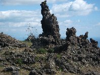 iara Scorciavacca-20110306 025